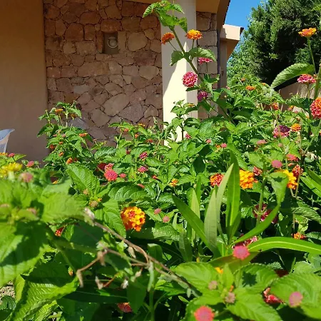 Holiday House Rosmarino With Swimming Pool * Costa Paradiso